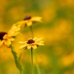 9球顶级赛事全程高清直播火热开启中 9rbctvm86