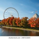 空军一号app下载实用指南:在不同设备上快速下载安装与登录步骤全解析 ceq61iez16