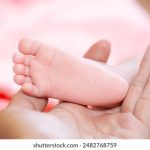 A8视频直播平台:开启高清流畅的在线互动新体验 swtuu