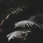 真钱博狗平台选择与风险防范全方位指南 xeyr4suq