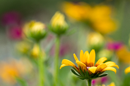 NBA高清直播视频下载攻略:教你轻松保存精彩赛事 NBA高清直播视频下载攻略:教你轻松保存精彩赛事